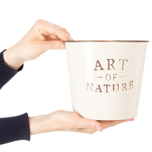 Article Pot de fleurs en zinc Art of Nature Crème Ø17,5 cm H15 cm