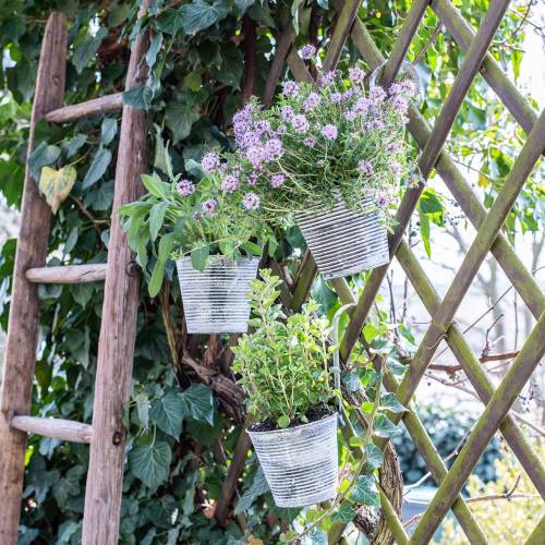 Floristik24 Cache-pot à suspendre métal crème antique Ø13cm H11.5cm