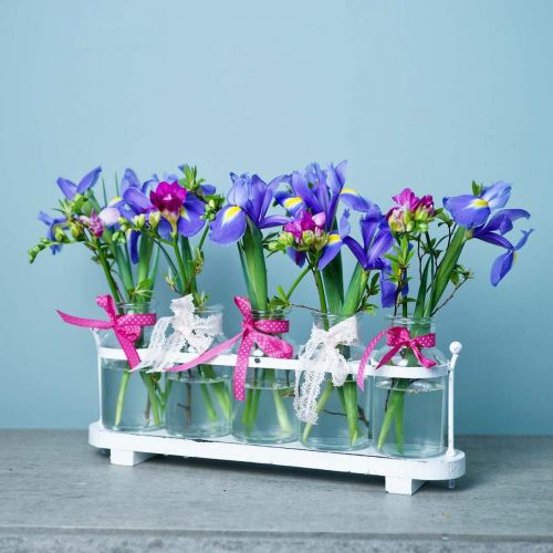 Floristik24 Vase à fleurs bouteilles d'apothicaire décor en verre d'apothicaire sur plateau 38cm
