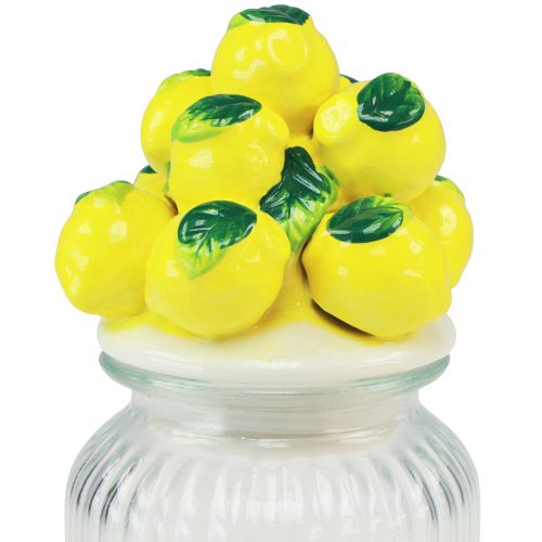 Article Pot à bonbons avec couvercle pot à biscuits citron Ø11cm H19cm