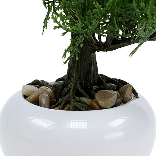 Floristik24 Bonsaï en pot H20cm