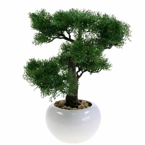 Floristik24 Bonsaï artificiel pin en pot H36cm