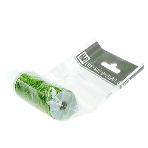 Article Fil effet bouillon Ø0.30mm 100g 140m vert pomme