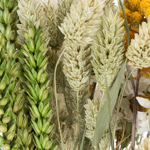 Article Bouquet de fleurs séchées, élégant bouquet de fleurs séchées pour le salon, 50 cm