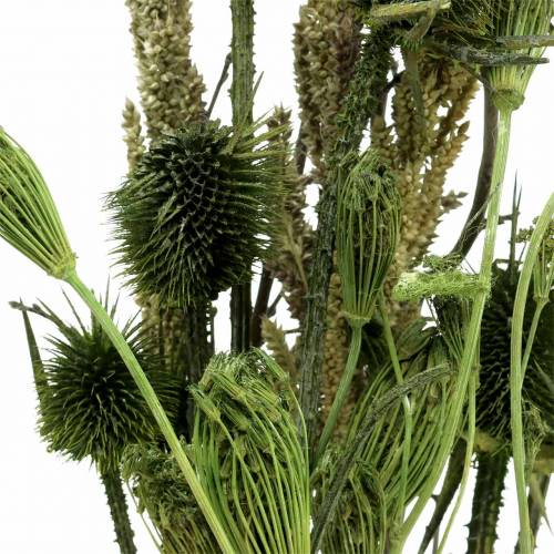 Floristik24 Bouquet de fleurs sauvages naturel, vert 25–60cm 70g