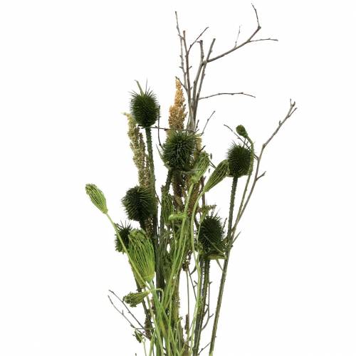 Floristik24 Bouquet de fleurs sauvages naturel, vert 25–60cm 70g