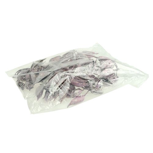 Article Brachyciton mûre givrée 500g