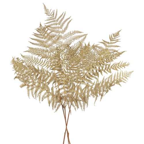 Floristik24 Fleurs séchées fougère décorative feuilles de fougère séchées 70cm 10 pcs