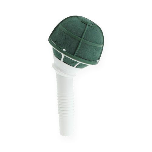 Floristik24 Support pour bouquet de mariée en mousse florale Ø7cm 16cm 6 pcs