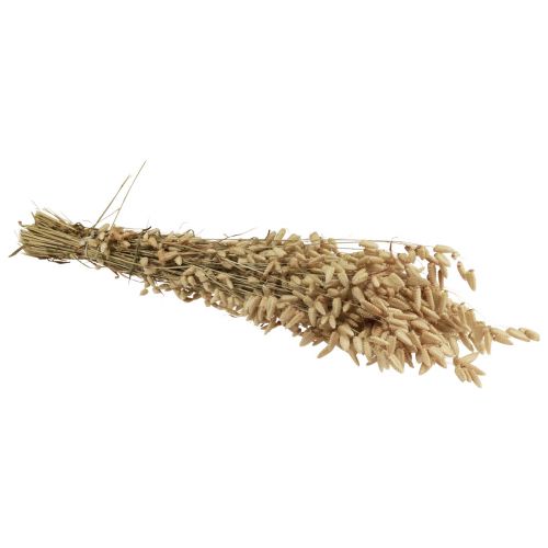 Floristik24 Herbe tremblante de fleurs séchées herbe ornementale naturelle Briza 60cm 100g