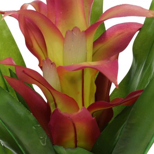 Floristik24 Broméliacées artificielles Rose Fleur artificielle à coller 54cm