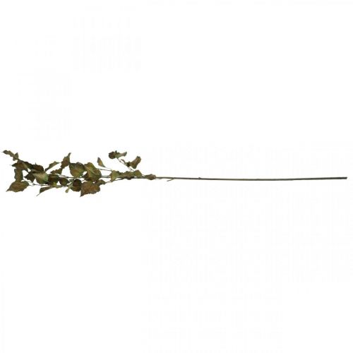 Floristik24 Branche décorative hêtre branche de hêtre artificielle branche d'automne décoration 115cm