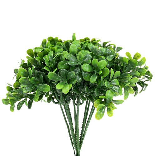 Floristik24 Branche de buis verte L. 20 cm 12 p.