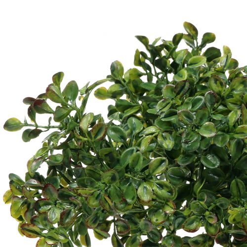 Floristik24 Branche de buis vert 27cm