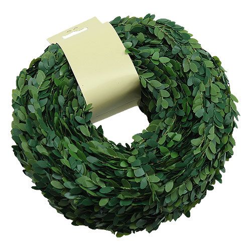 Floristik24 Boite guirlande verte 15m