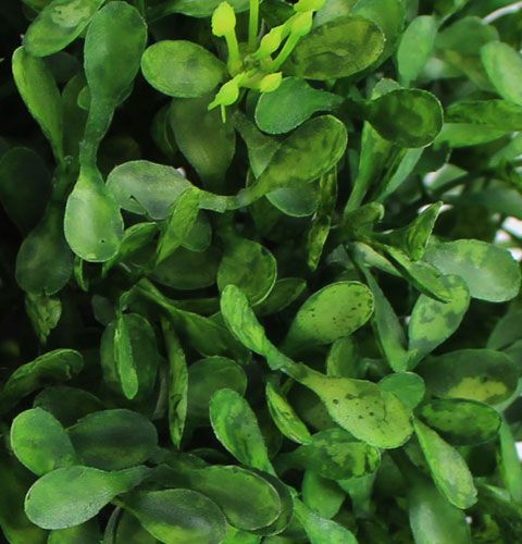 Floristik24 Boite boule Ø12cm Déco plantes vertes artificielles