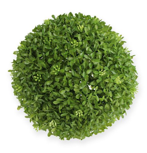 Floristik24 Boite boule Ø25cm