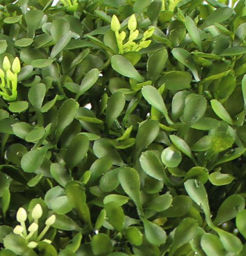 Floristik24 Boite boule Ø25cm