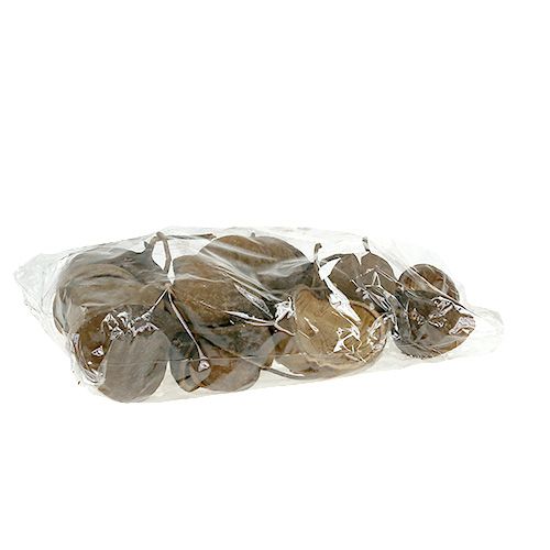 Floristik24 Noix de Bouddha Naturelle 15 pcs