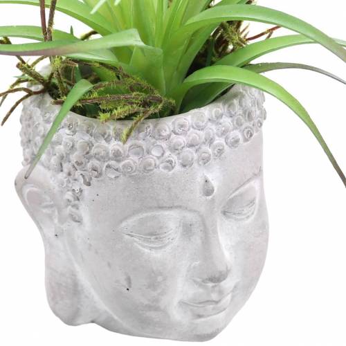 Floristik24 Tête de Bouddha à planter en béton gris, blanchi à la chaux Ø8 H8cm