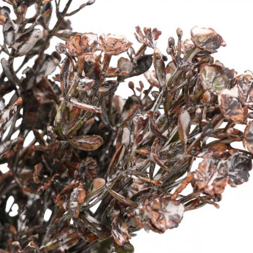 Plantes artificielles marron décoration automne décoration hiver Drylook 38cm 3pcs