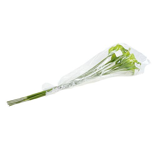 Floristik24 Calla vert artificiel 8cm L57cm 12pcs