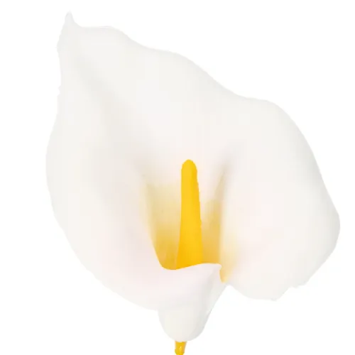 Lys calla artificiel à étamines jaunes, fleurs décoratives, 35 cm, lot de 10 | Floristik24.be