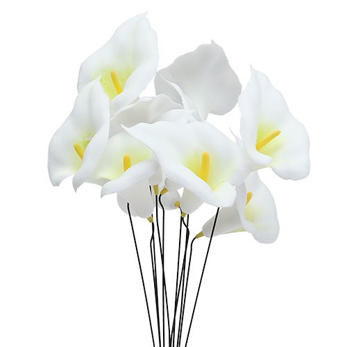 Floristik24 Calla sur fil petit blanc 50pcs