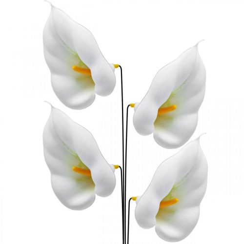 Floristik24 Calla moyen sur fil 50pcs