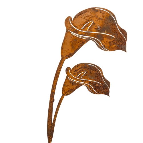 Tuteur de jardin pour fleurs de calla rouille, pour tombes et art floral, 25 cm, lot de 6