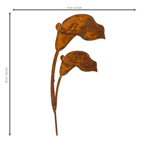Tuteur de jardin pour fleurs de calla rouille, pour tombes et art floral, 25 cm, lot de 6 | Floristik24.be