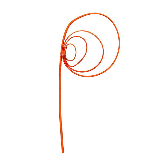 Tiges de canne enroulées naturelles Orange 40-50cm 25pcs