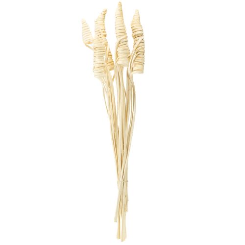 Article Cône de canne blanchi 25 pcs