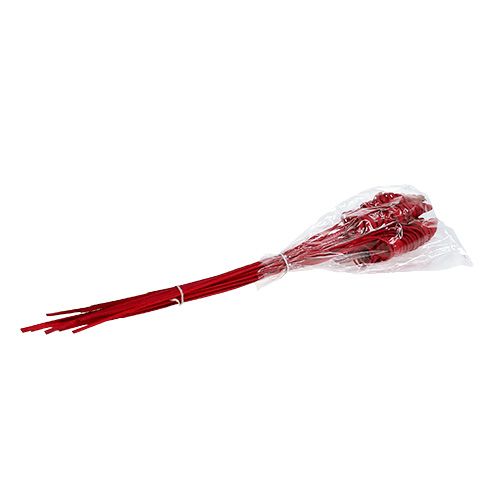 Article Cône de canne rouge 25 pcs