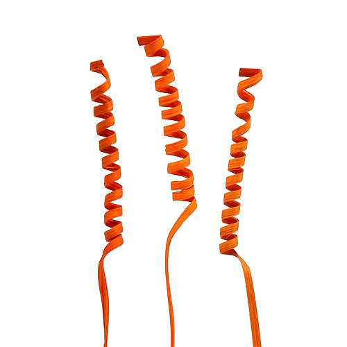 Floristik24 Canne Spring mini Orange 25pcs