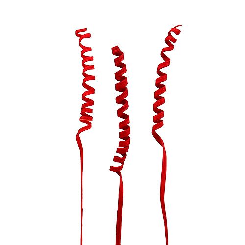 Floristik24 Canne Spring mini rouge 25 pcs