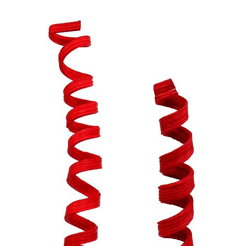 Floristik24 Canne Spring mini rouge 25 pcs