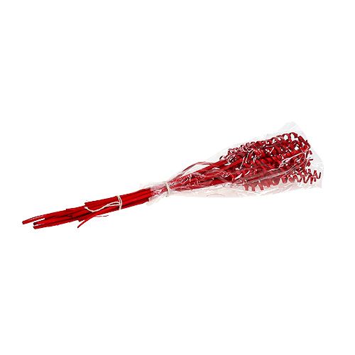 Floristik24 Canne Spring mini rouge 25 pcs