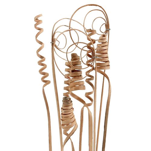 Floristik24 Assortiment de cannes mini naturel 75 pièces