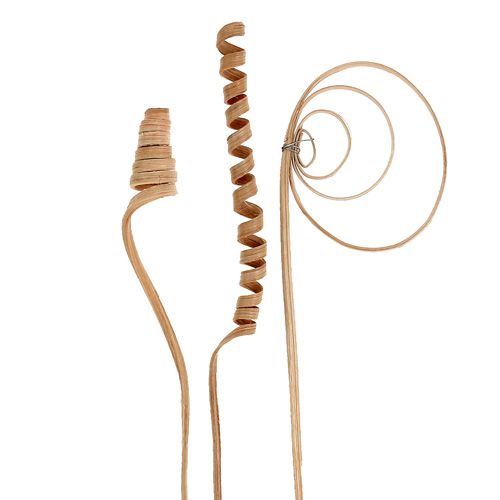 Article Assortiment de cannes mini naturel 75 pièces