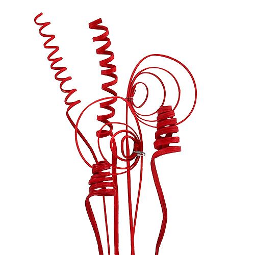 Floristik24 Assortiment de cannes mini rouge 75 pcs