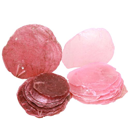 Coquillages déco Capiz Rose 5 cm - 8 cm Mélange 60 pièces