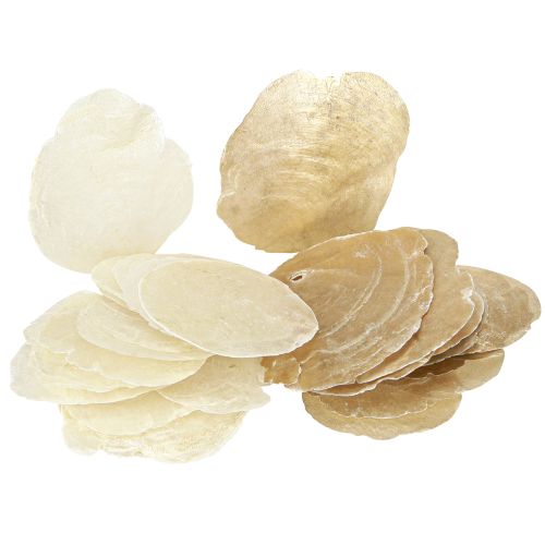 Article Capiz Déco coquillages Couleur or et naturel Assortis 60 pièces