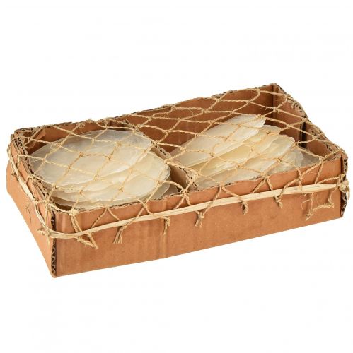 Article Coquilles de Capiz Tranches de Capiz tranches de nacre naturelle 7,5–9,5 cm 300g