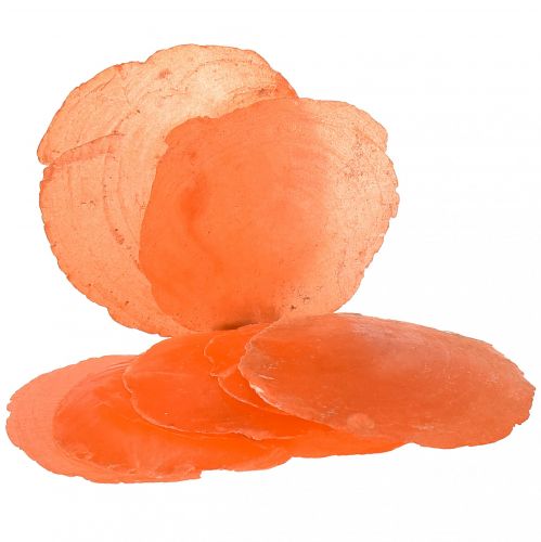 Floristik24 Coquilles de Capiz Tranches de Capiz tranches de nacre orange 7,5–9,5 cm 300g