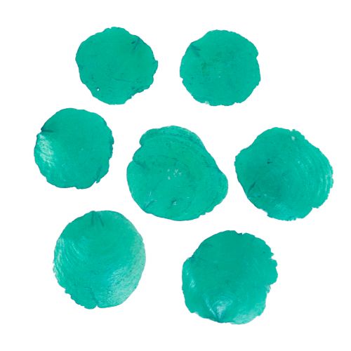Article Coquillages Capiz Disques Capiz disques de nacre turquoise 7,5–9,5cm 300g