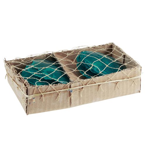 Article Coquillages Capiz Disques Capiz disques de nacre turquoise 7,5–9,5cm 300g