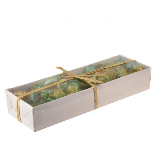 Floristik24 Coquille de nacre de Capiz tranches de nacre coquille d&#39;escargot de mer vert 3,5–9,5 cm 750g
