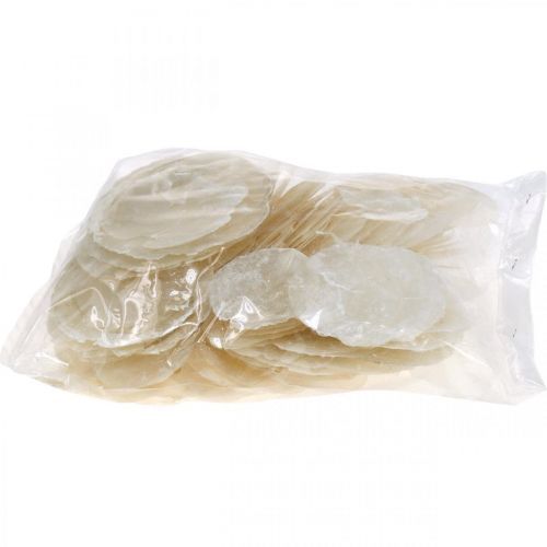 Article Coquillages maritimes, Capiz 5–10 cm, nacre, article naturel 1 kg