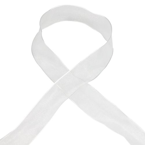 Article Ruban mousseline ruban organza ruban décoratif organza blanc 40mm 20m